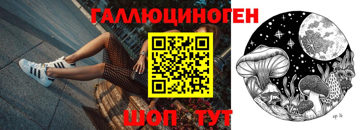 Галлюциногенные грибы Psilocybe  Псилоцибиновые грибы прущие грибы  Вход с VPN  Камень-на-Оби 